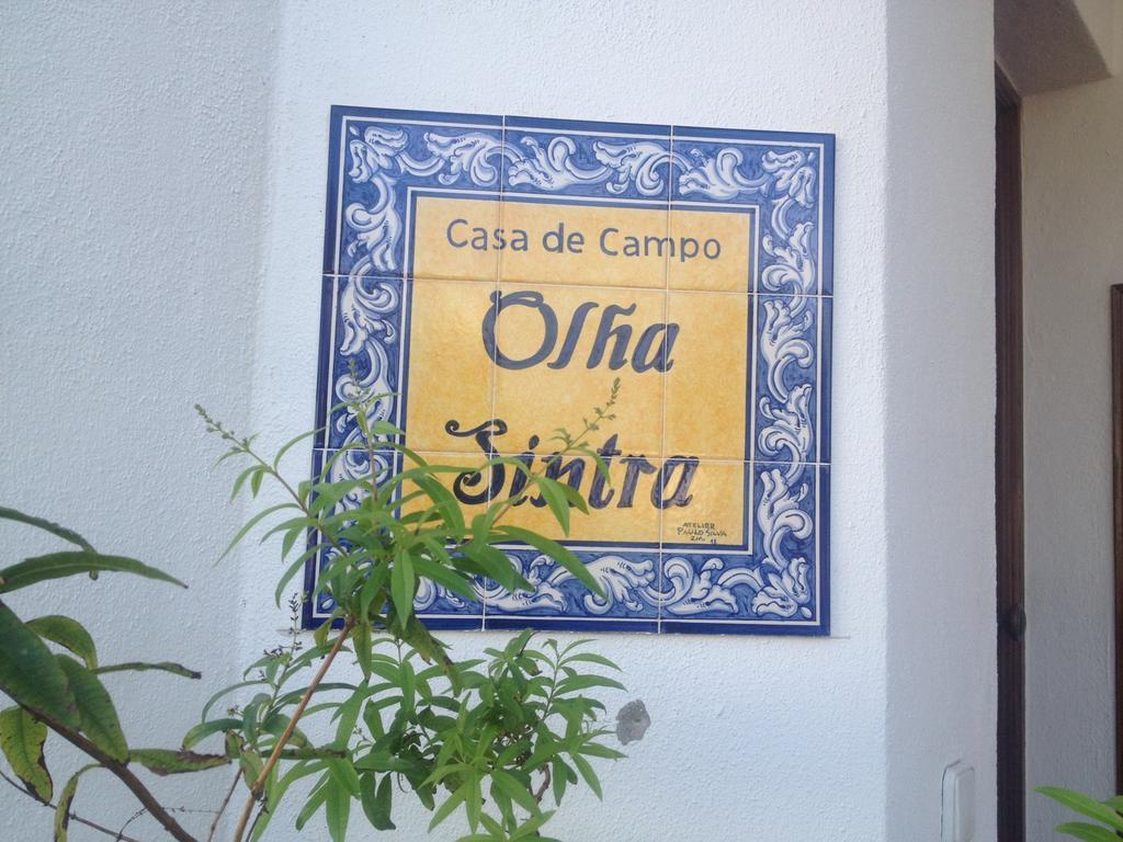 House 3 Bedroon - Near Sintra And Lisbon Villa Oda fotoğraf